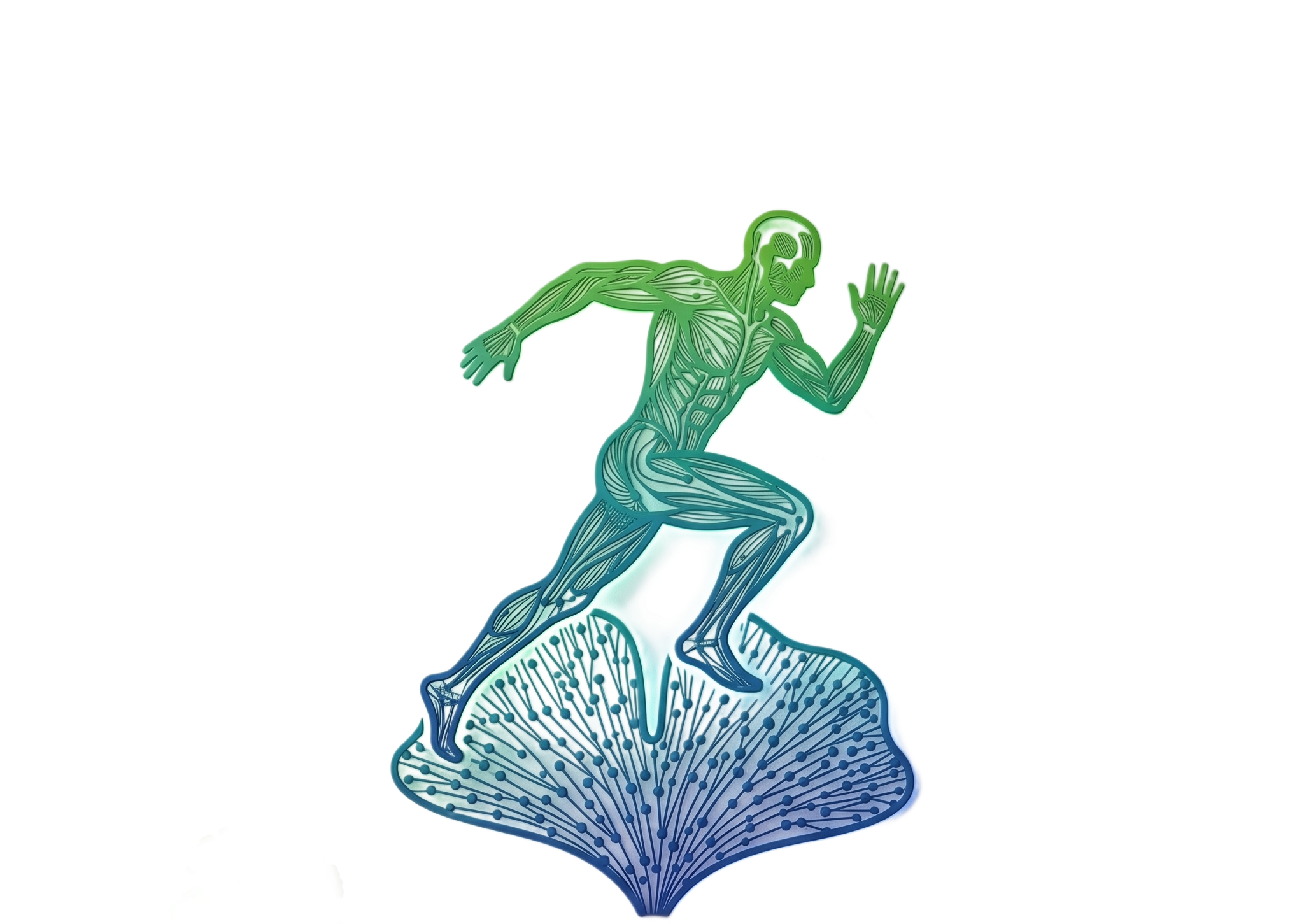 athleticasyn by nils